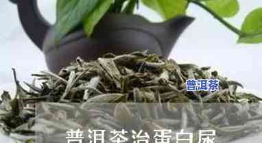 尿蛋白可以喝普洱茶吗，尿蛋白患者能否饮用普洱茶？专家解析