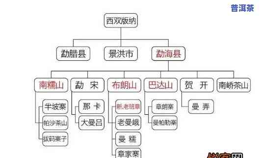 各个产区普洱茶的特点是哪些，探秘普洱茶：揭秘各产区的特别特点