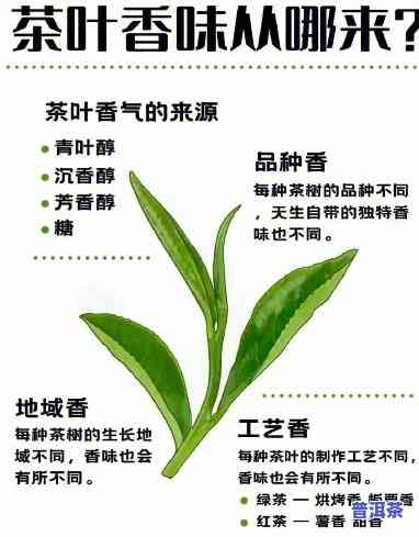 普洱茶香气的主要形成途径有()，探秘普洱茶香气：主要形成途径解析