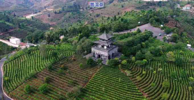 北京普洱茶都，探索京城韵味：品味北京普洱茶都的茶香世界