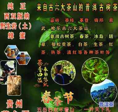 普洱茶招山东省代理-普洱茶招山东省代理吗