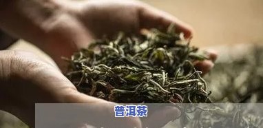 为什么喝普洱茶血压猛增-为什么喝普洱茶血压猛增了