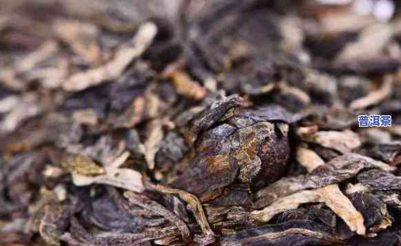 特级普洱茶推荐哪款更好-特级普洱茶推荐哪款更好喝