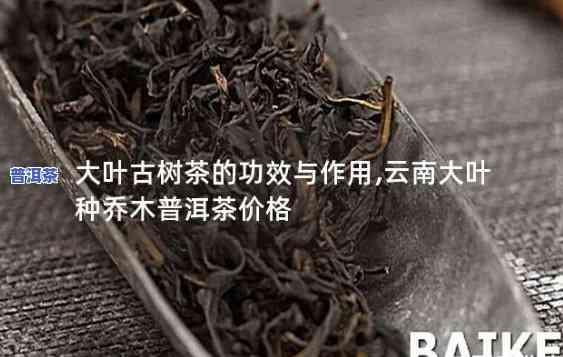 大树普洱茶：揭示其特别的用价值与功效