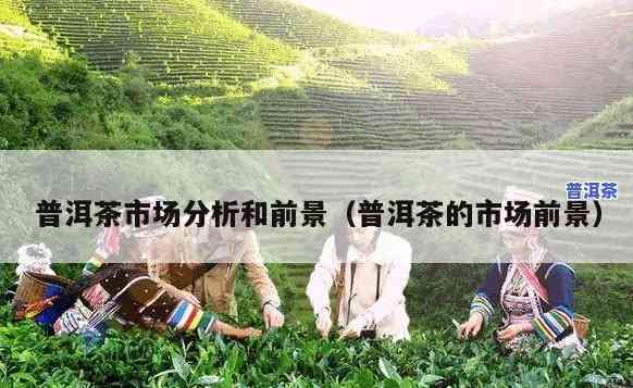 普洱茶分析的可行性-普洱茶行业分析报告