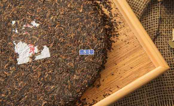 茶叶店的普洱熟茶：怎样分辨好坏？视频讲解