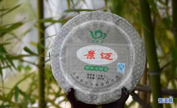 昌达号普洱茶吧，品味经典：昌达号普洱茶吧，带你领略云南普洱的魅力