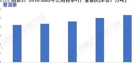 普洱茶一年产多少吨？熟悉产量及正常范围