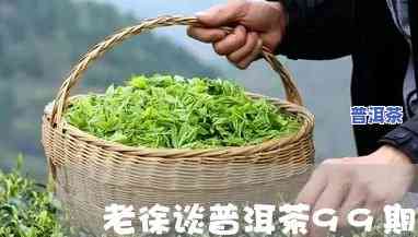 老徐讲普洱茶57期-普洱老茶讲堂