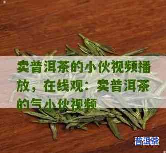 买普洱茶的小哥哥是谁呀-买普洱茶的小哥哥是谁呀视频