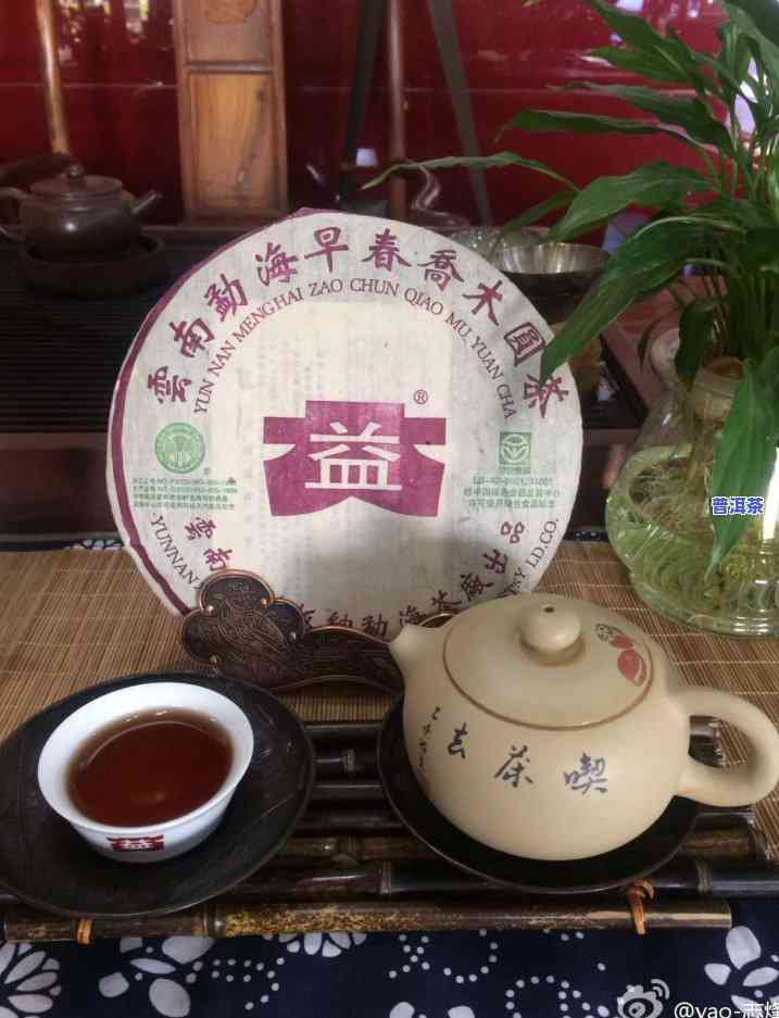 小白菜普洱茶，品味健康：小白菜普洱茶的特别口感与功效