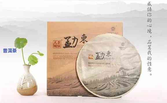 普洱茶企业私人定制，为您量身打造：普洱茶企业的私人定制