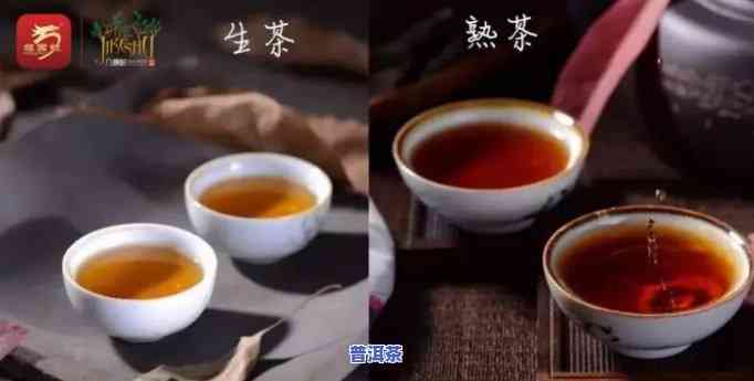 熟普洱降血压还是生普洱降血压，熟普洱茶与生普洱茶：哪个更能有效减少血压？