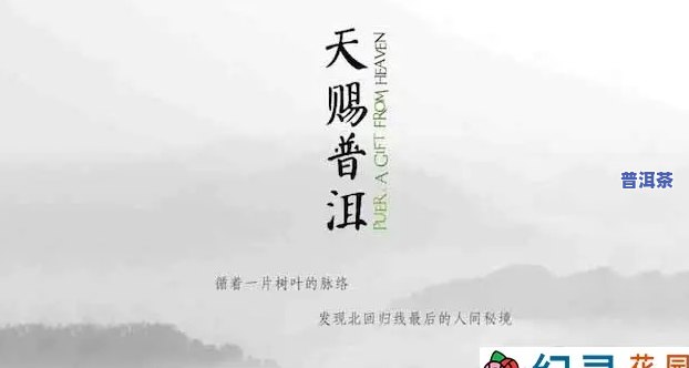 天赐普洱大型纪录片，探秘茶源：天赐普洱大型纪录片