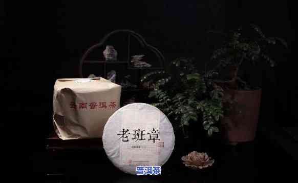 老徐讲普洱茶71期-普洱老茶讲堂