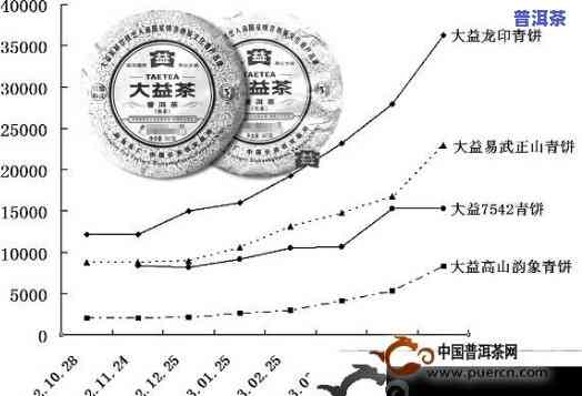 普洱茶开发成本分析报告：详细解析与实例