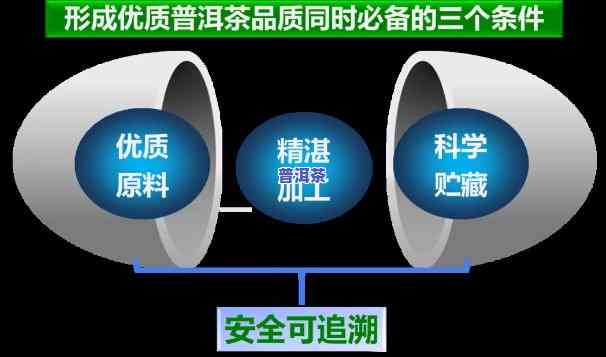 普洱茶的食品安全链有哪些，探究普洱茶的食品安全链：从茶园到杯中