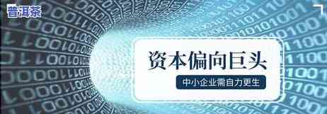 普洱茶的市场分析，深度解析：普洱茶市场的现状与未来趋势