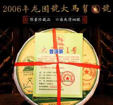 龙园号普洱茶马帮头砖茶-龙园号2006年马帮系列饼茶