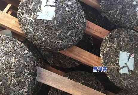 哪一年普洱茶品质更好？探究历年茶叶优劣