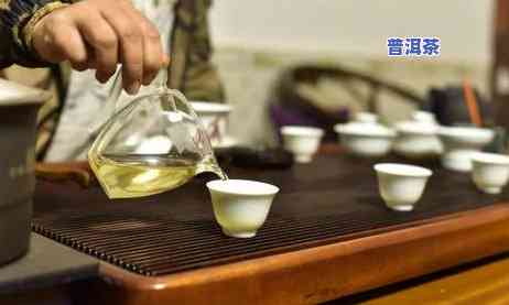 哪一年的普洱茶底好-哪一年普洱茶品质好