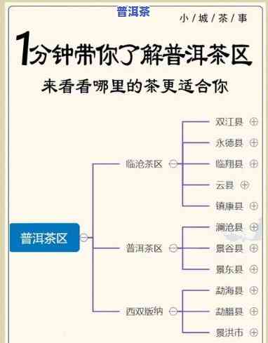 普洱茶原产什么地方最多？探讨其更佳原产地与来源区域