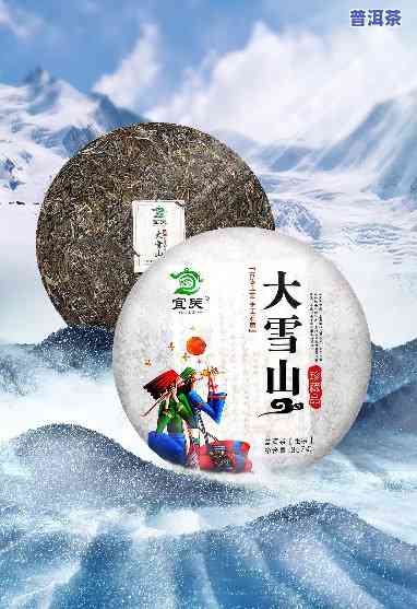 大雪山普洱茶怎么样？口感、价格全面解析！