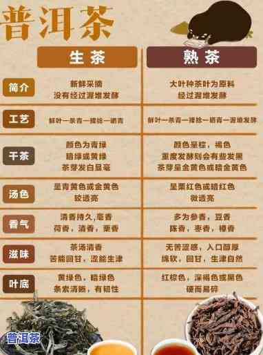 普洱茶：怎样准确分辨新旧茶叶？全图解 价格一览