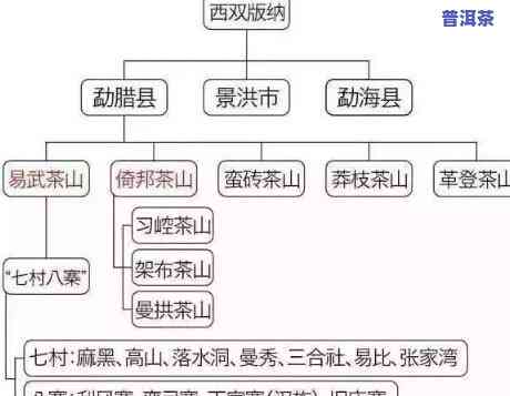 探索普洱茶各山头的特性和口感差异