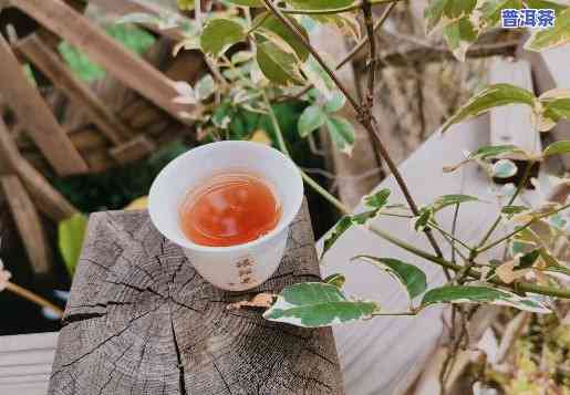 高中生喝什么样的普洱茶-高中生喝什么样的普洱茶好