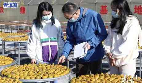 普洱茶可冷冻保管吗多久-普洱茶可冷冻保管吗多久可以喝