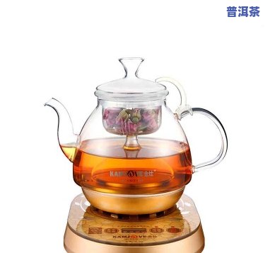 金灶泡茶玻璃壶：价格、性能全方位解析