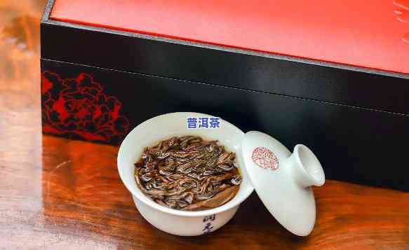 古树普洱茶日常用法视频大：详解茶叶冲泡技巧与品鉴方法