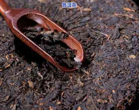 古树普洱茶怎么冲泡，怎样冲泡古树普洱茶？详细步骤解析