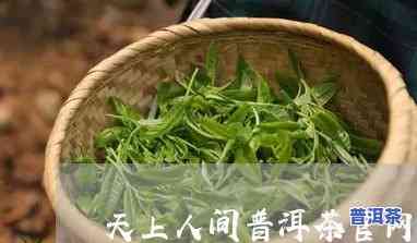 天上人间普洱茶代理-天上人间普洱茶375克