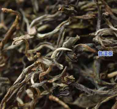 昆明的普洱茶叶全览：知名与推荐