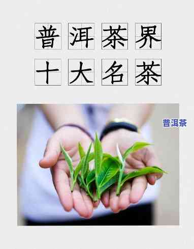 昆明的普洱茶叶全览：知名与推荐