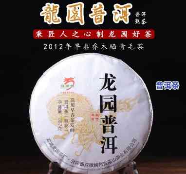 龙园号普洱茶简介：熟悉其历史、口感与价格，访问官网熟悉更多详情