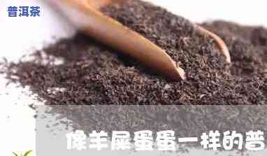 羊屎蛋形状的普洱茶-羊屎蛋形状的普洱茶叫什么