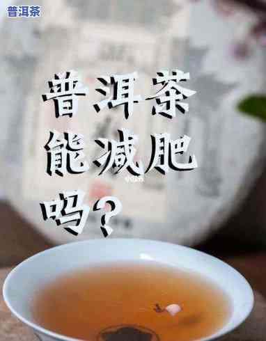 听说普洱茶能减肥真的吗，探究真相：普洱茶是不是真的可以帮助减肥？