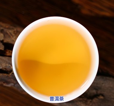 老树普洱茶怎么储存更好喝，「老树普洱茶」的正确储存方法，让你越存越好喝！