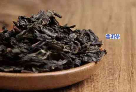 普洱茶新茶怎么保存更好，普洱茶新茶保存指南：怎样让茶叶保持更佳状态？