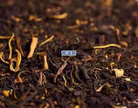 普洱茶新茶怎样储存更好-普洱茶新茶怎样储存更好呢