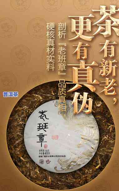 齐富茶业普洱茶专柜地址查询及联系方法与官网信息