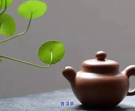 昆明普洱茶利润有多少钱-昆明普洱茶利润有多少钱一斤