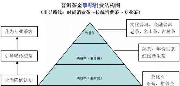 三明普洱茶渠道招商方案：全面策略与实施计划