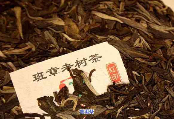 米地普洱茶理念介绍，深入熟悉米地普洱茶：探索其特别的理念