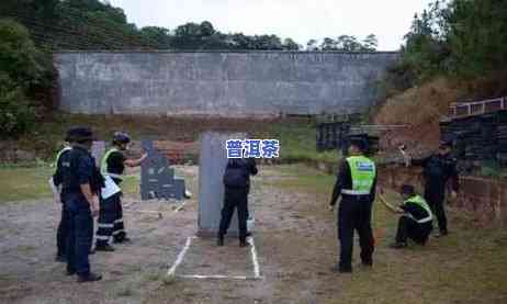 米地普洱茶理念介绍-米地普洱茶理念介绍怎么写