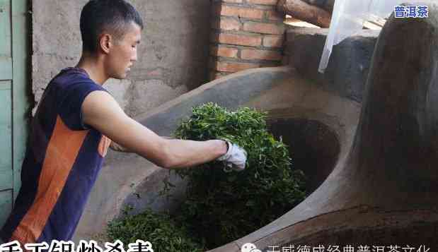 普洱茶视频全过程视频，揭秘普洱茶制作全过程：视频解析