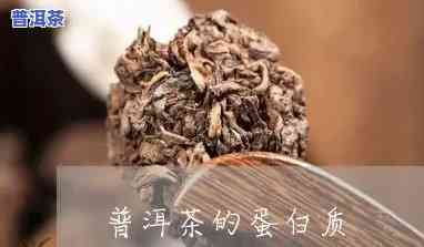 普洱茶含多少蛋白质-普洱茶含多少蛋白质含量